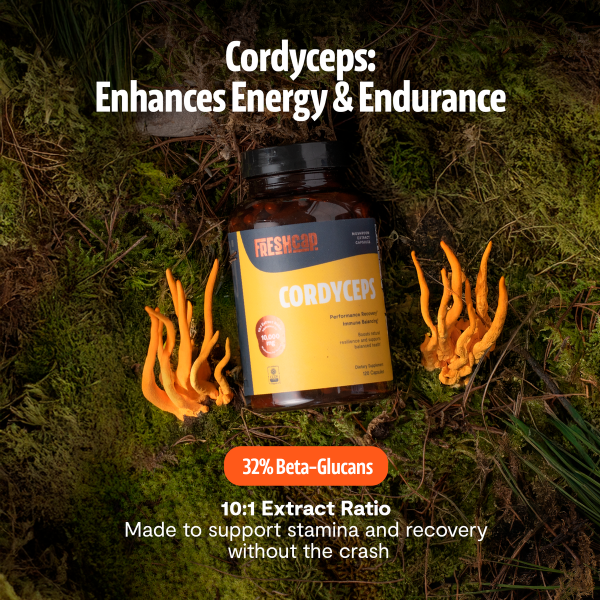 Organic Cordyceps Capsules – 120 Count