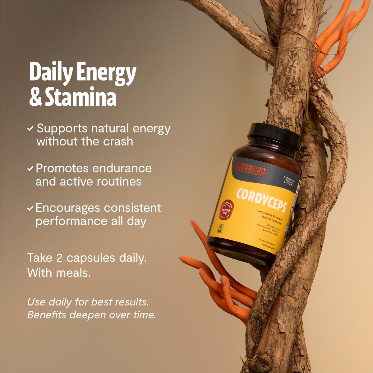 Organic Cordyceps Capsules – 120 Count