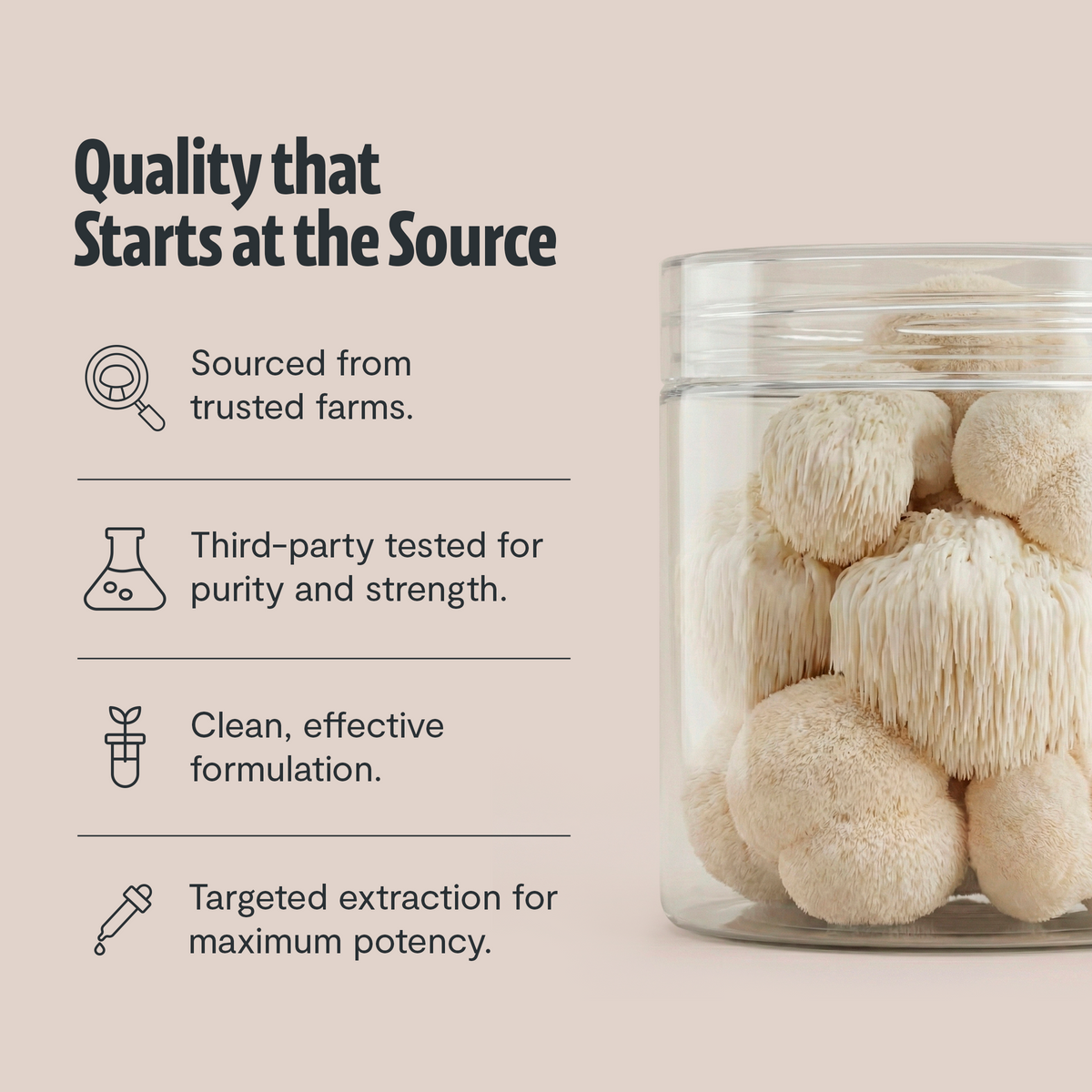Organic Lion’s Mane Mushroom Powder – 60 Servings