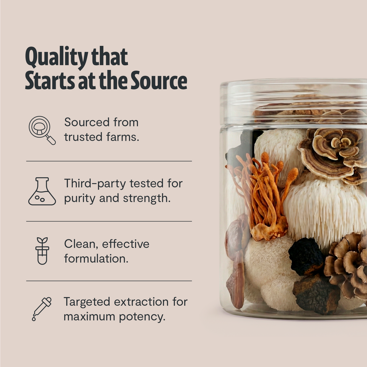 Ultimate Six-Mushroom Complex Powder