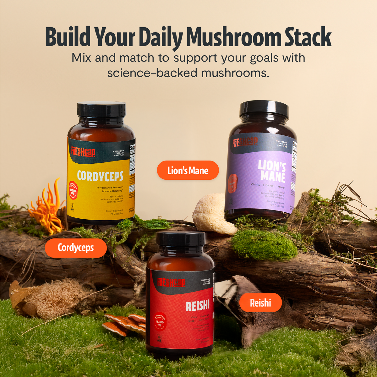 Organic Cordyceps Capsules – 120 Count