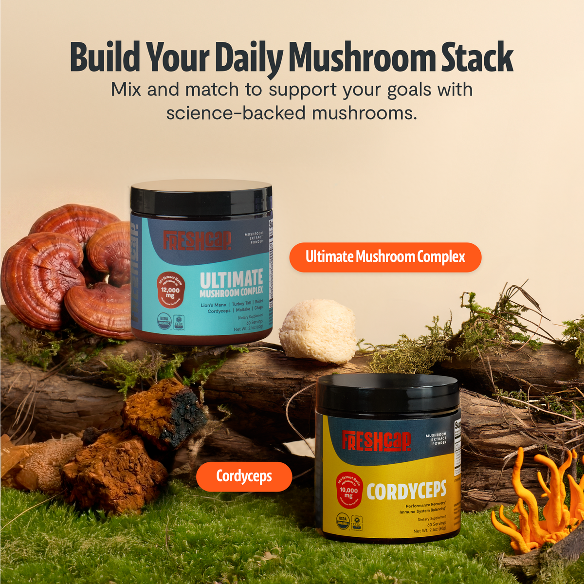 Ultimate Six-Mushroom Complex Powder