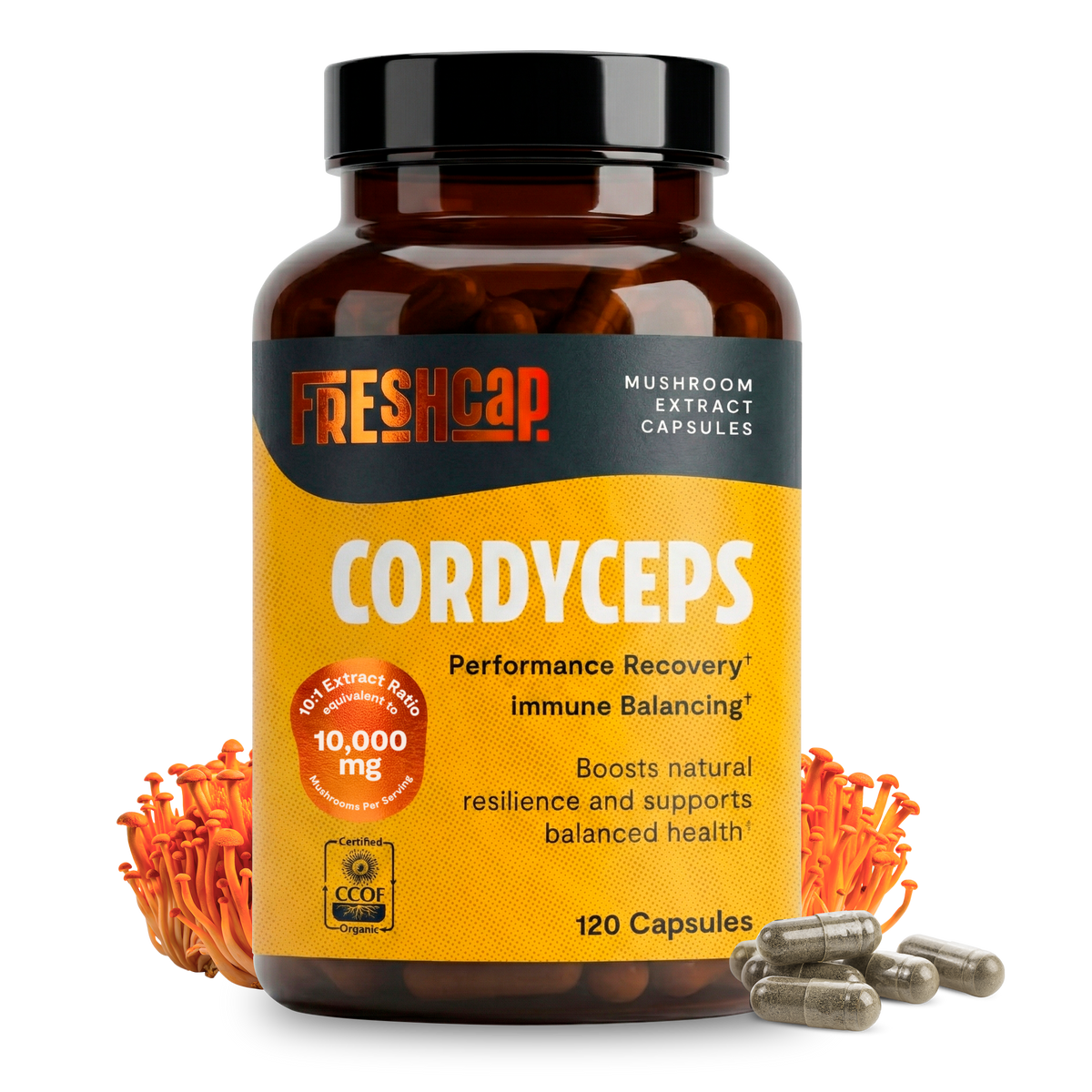 Organic Cordyceps Capsules – 120 Count