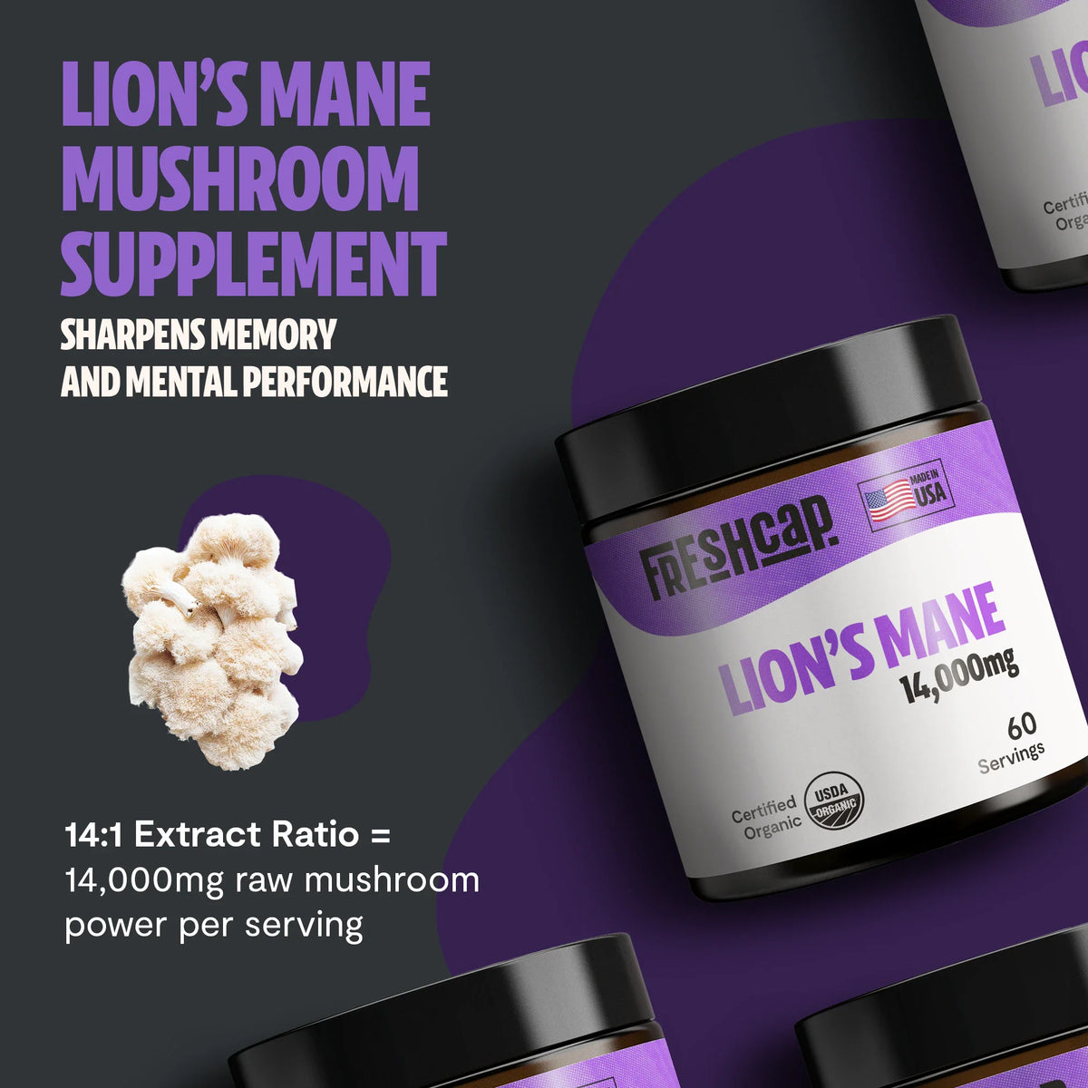 Organic Lion’s Mane Mushroom Powder – 60 Servings