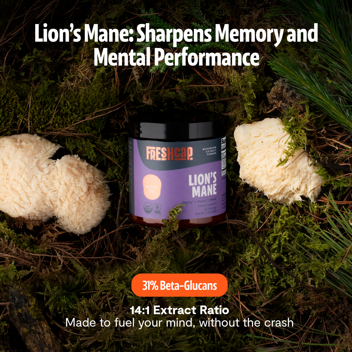 Organic Lion’s Mane Mushroom Powder – 60 Servings