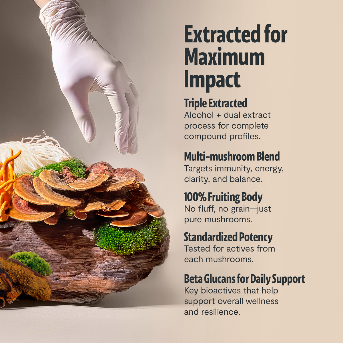 Organic Six-Mushroom Complex Capsules