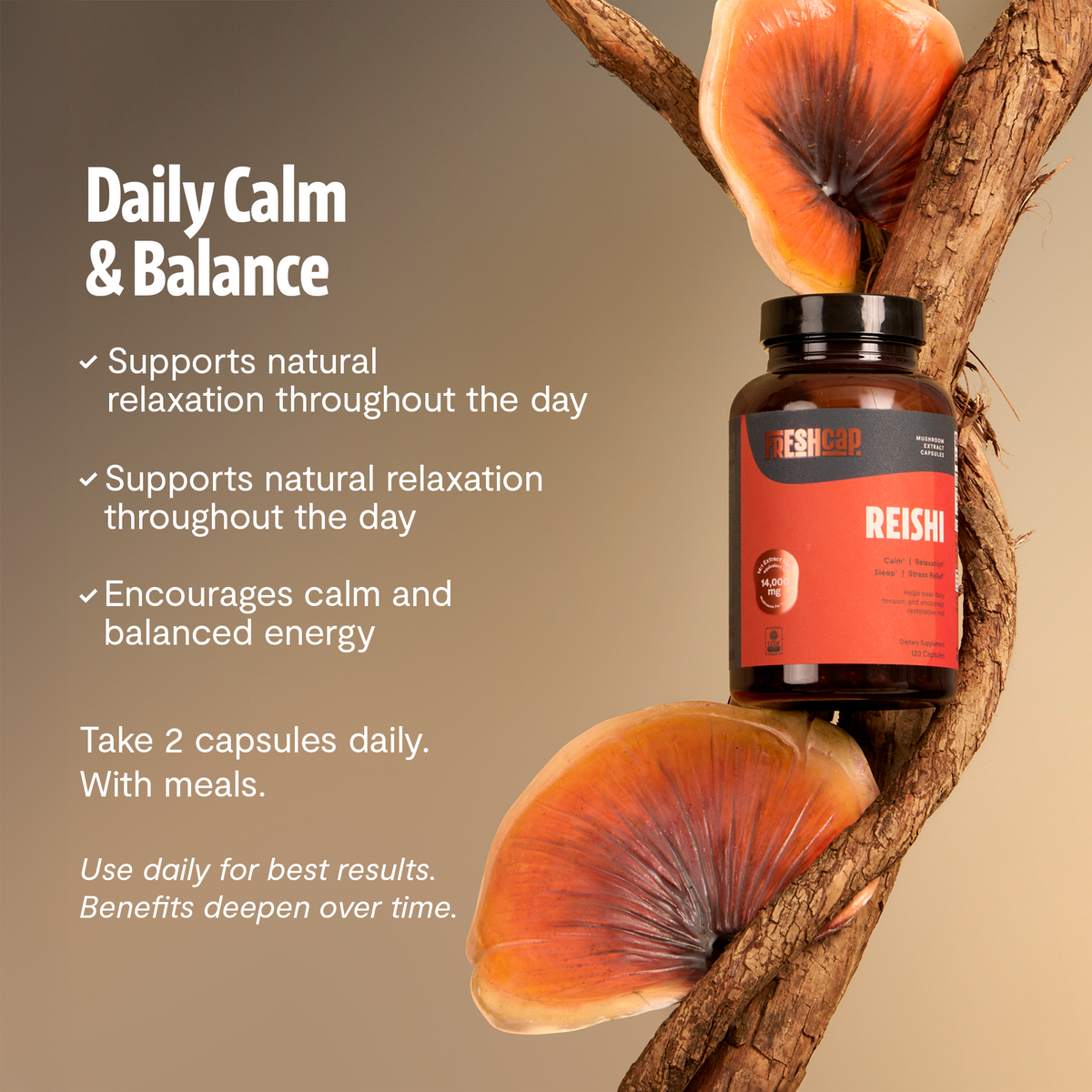 Organic Reishi Capsules – 120 Count