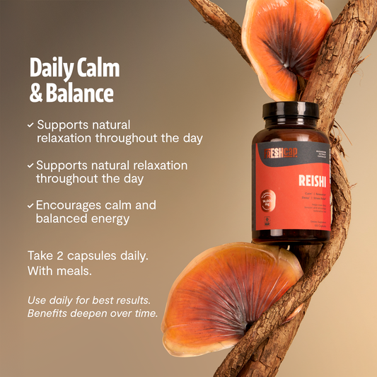 Organic Reishi Capsules – 120 Count
