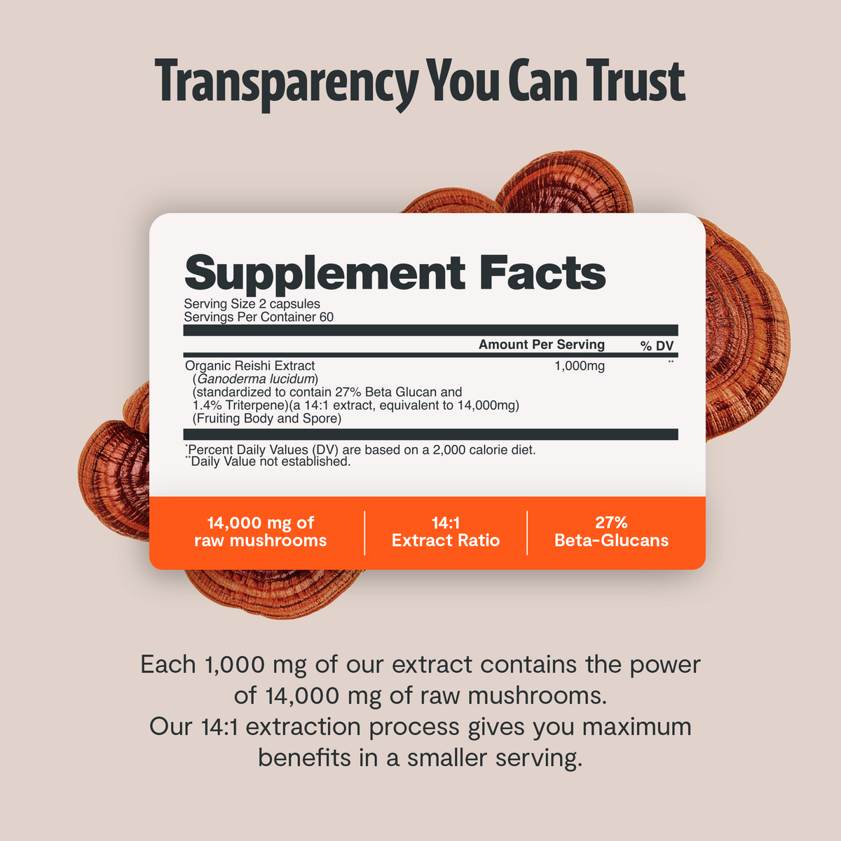 Organic Reishi Capsules – 120 Count