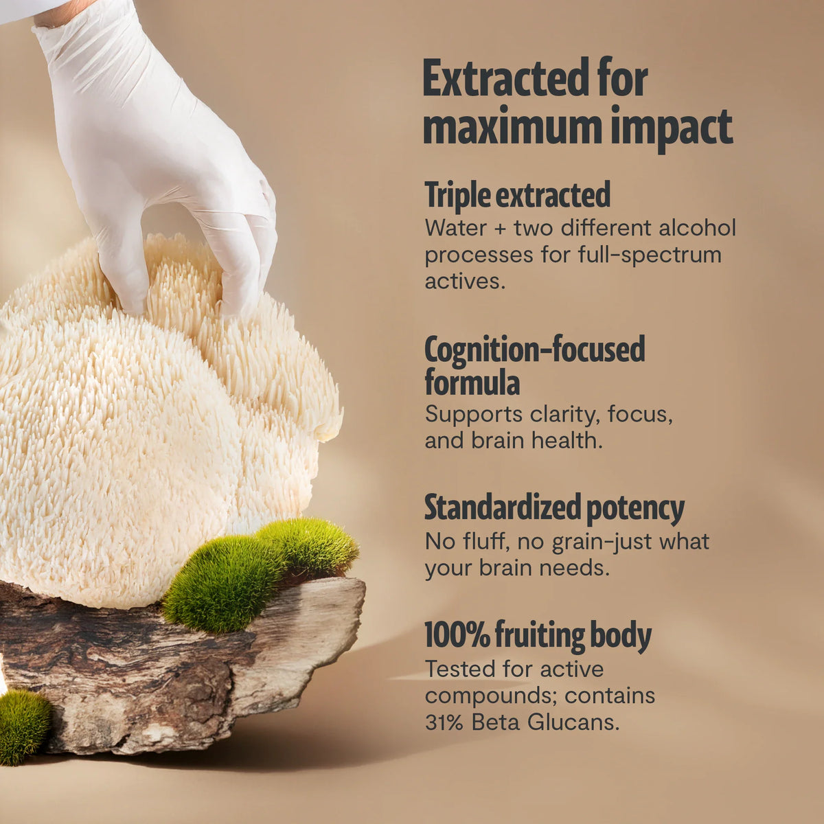 Organic Lion’s Mane Mushroom Powder – 60 Servings