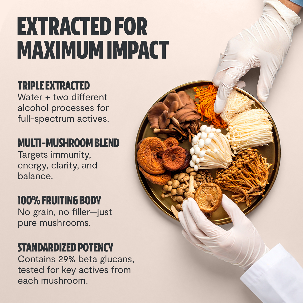 Ultimate Six-Mushroom Complex Powder