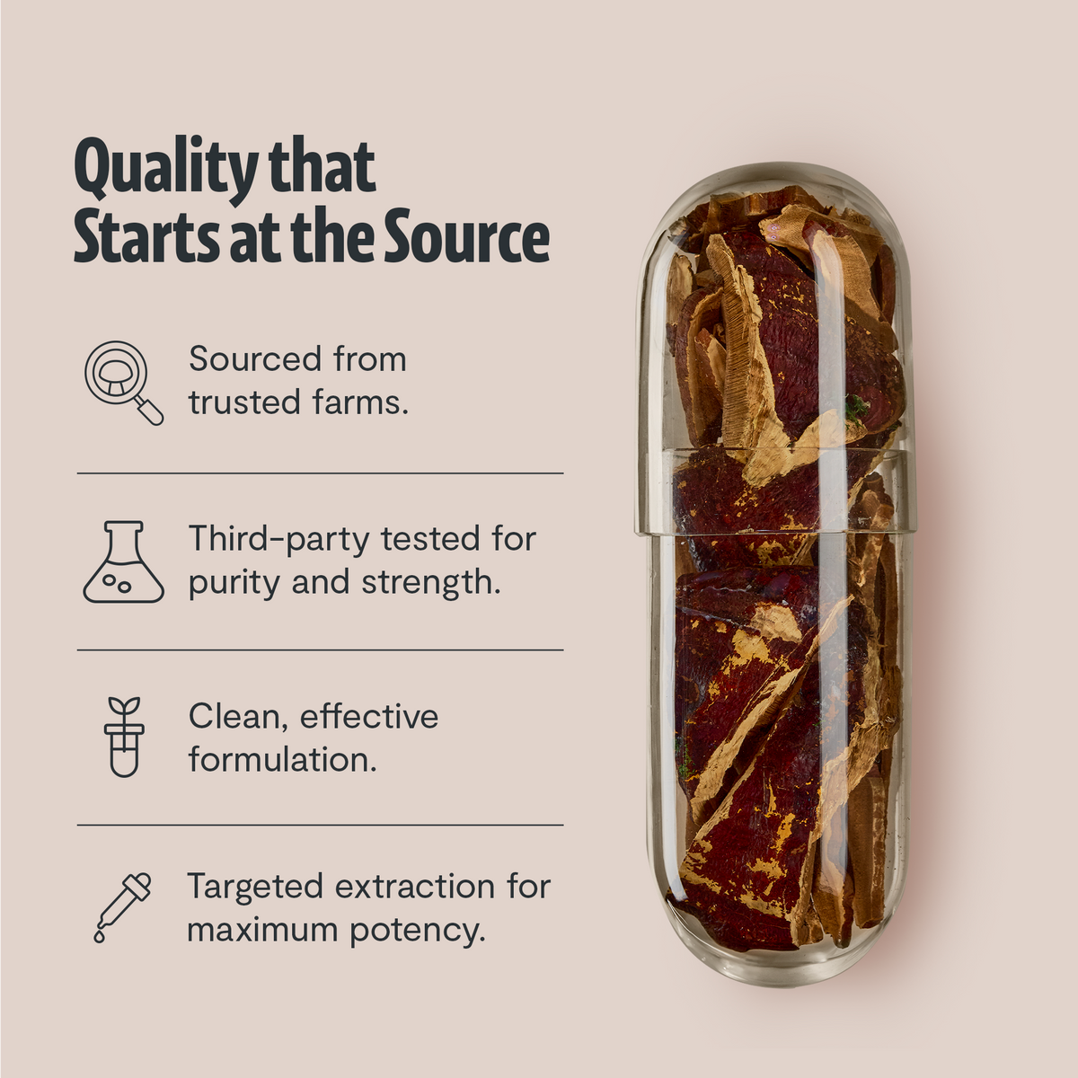 Organic Reishi Capsules – 120 Count