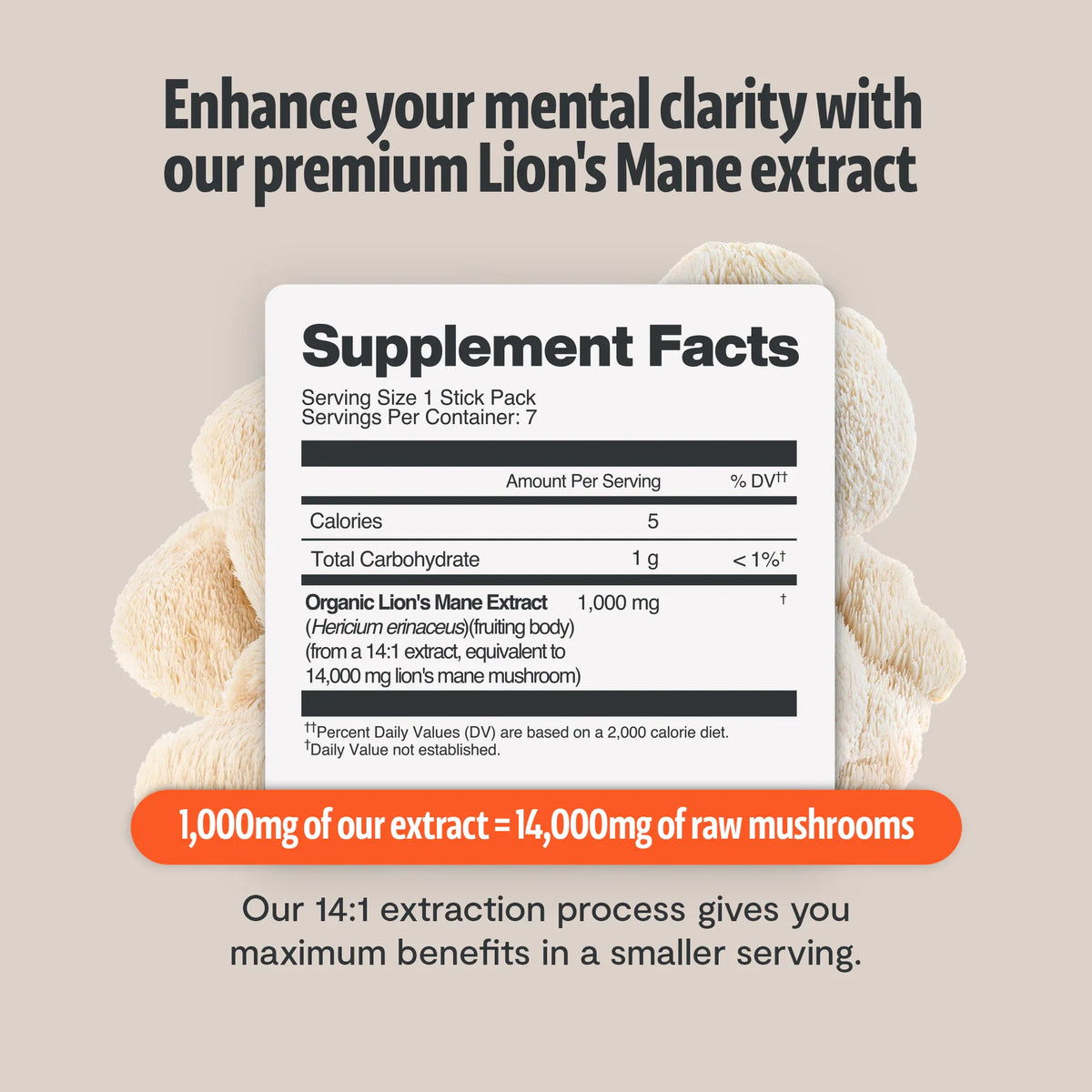 Organic Lion’s Mane Mushroom Powder – 60 Servings