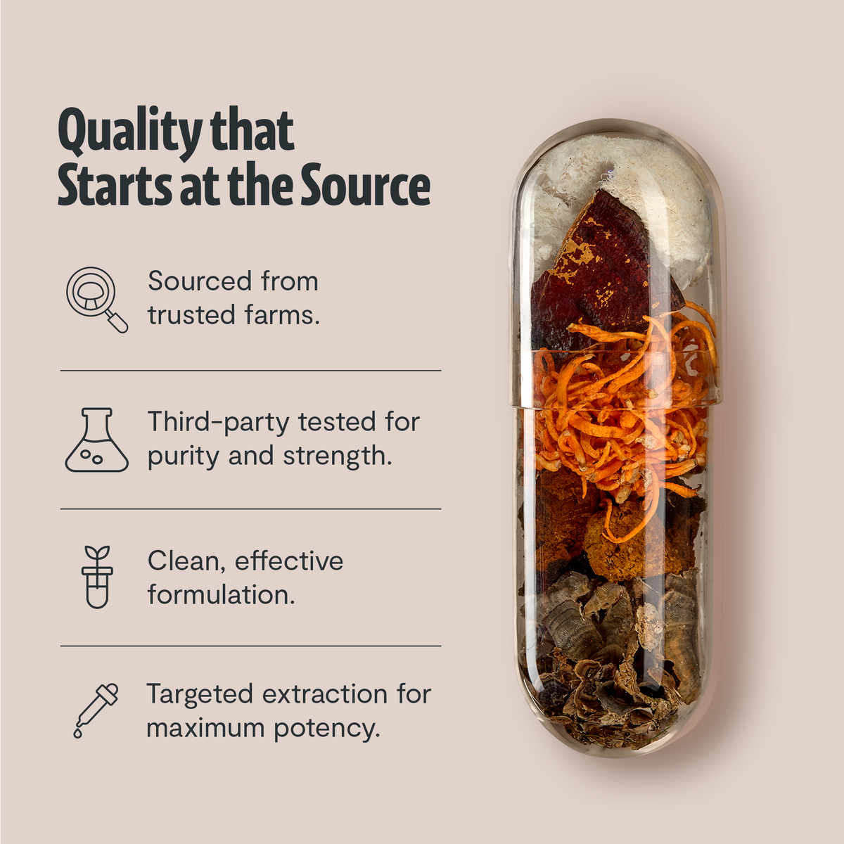 Organic Six-Mushroom Complex Capsules