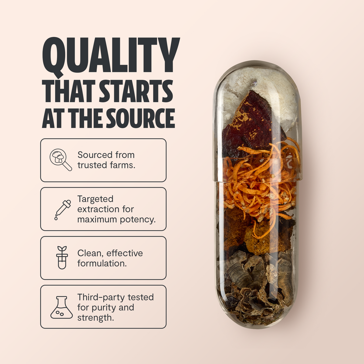 Organic Six-Mushroom Complex Capsules