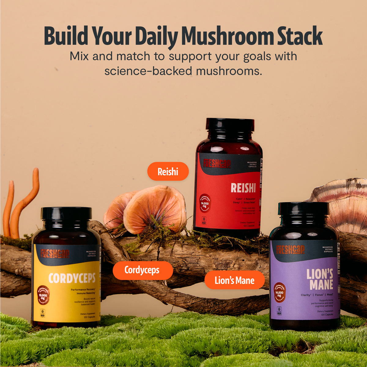 Organic Reishi Capsules – 120 Count